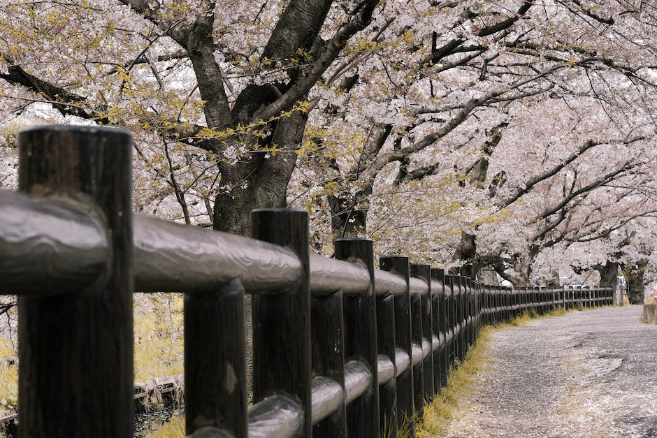  Japanisch sprechende Bevölkerung