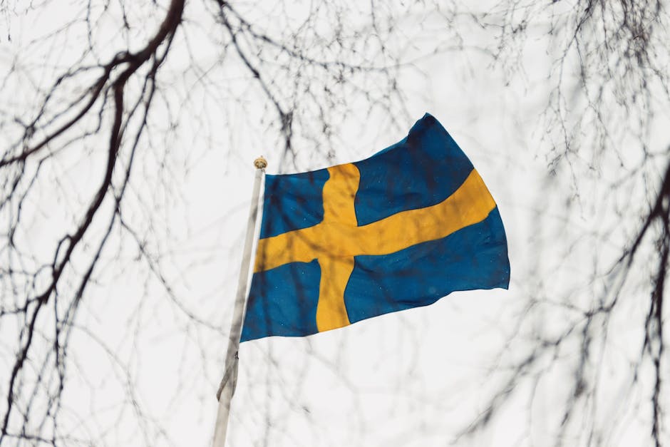 Sprachen in Schweden: Schwedisch, Samisch, Meänkieli und Finnisch